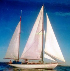 WP_20150926_011.jpg