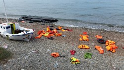 20151008_142858_resized_1.jpg
