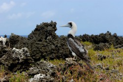 IMG_8002.jpg
