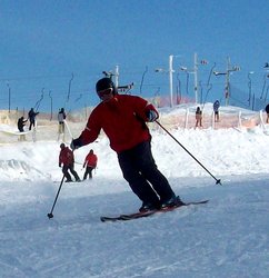 skiwhale2011.jpg