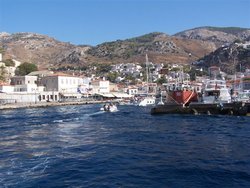 Hydra.JPG