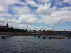 20150726_1.jpg