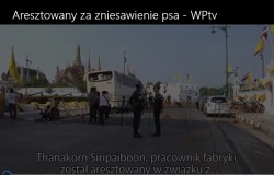 Areszt 1.jpg