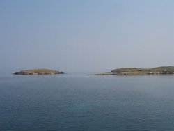 Obraz 183.jpg