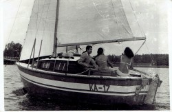 Petrel_08.jpg