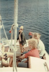 Petrel_07.jpg