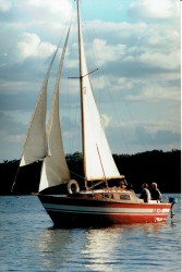 Petrel_01.jpg