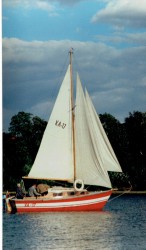 Petrel_02.jpg