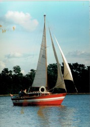 Petrel_04.jpg