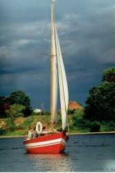 Petrel_05.jpg