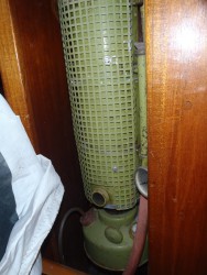 maleP2270742.jpg