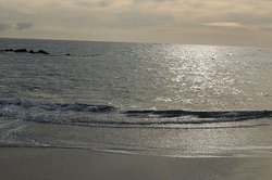 DSC_0289.JPG