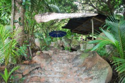DSC_5596.JPG