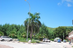 DSC_6075.JPG
