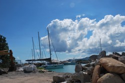 DSC_6462.JPG