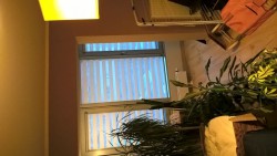 WP_20160401_19_12_37_Pro.jpg