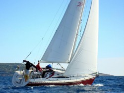 D37 1.jpg