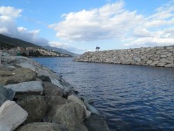 P9280081.jpg