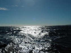 PA050346.jpg