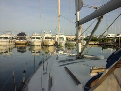 20160410_073914.jpg