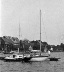Skrzat 700-1981.jpg