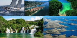 Collage.jpg