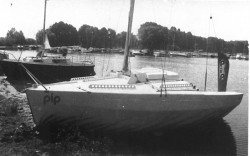 PIP-5501a.jpg