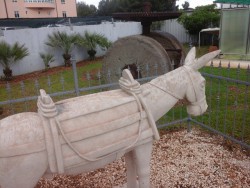 20160524_103412.jpg
