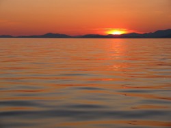 IMG_0197.jpg