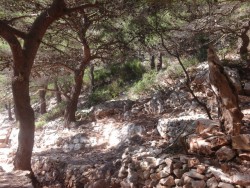 20160531_093018.jpg