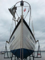 04.jpg