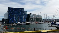 marina_resized_1.jpg