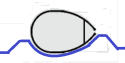 bom_bom.png