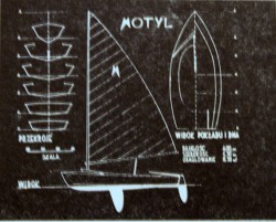 Motyl2.JPG