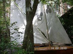 PICT4846a.jpg