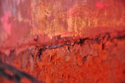 DSC_8113.JPG