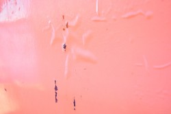 DSC_8100.JPG