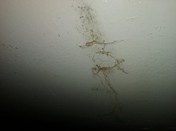 20160821_193106.jpg