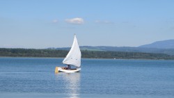 IMG_0008.JPG