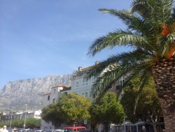 20160908_102935.jpg