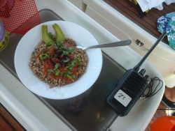 20160805_145236.jpg