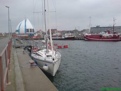 DSC00631.jpg