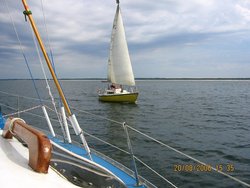 IMG_1386.jpg