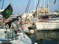 aegina.jpg