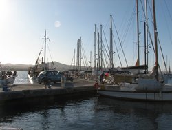 310.jpg