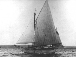 SprayNewSailsa.jpg
