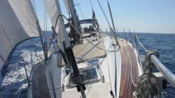 IMG_7748.jpg