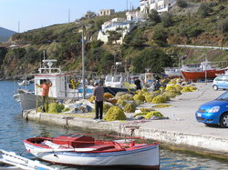 Linaria port.jpg