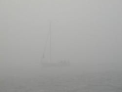 P1010070.jpg