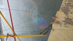20170212_132034_resized.jpg